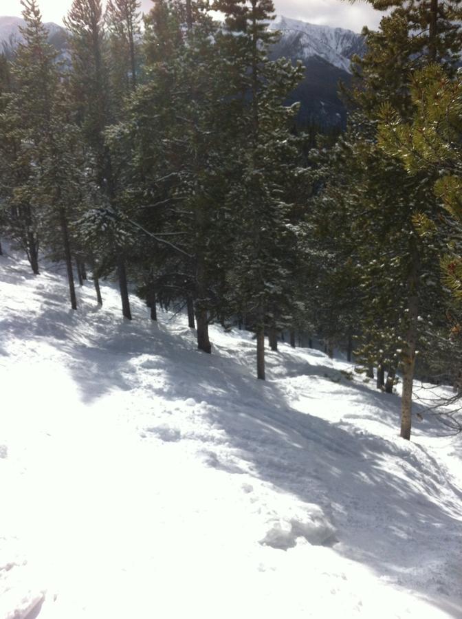 Taynton Lodge At Panorama Mountain Village Resort 외부 사진